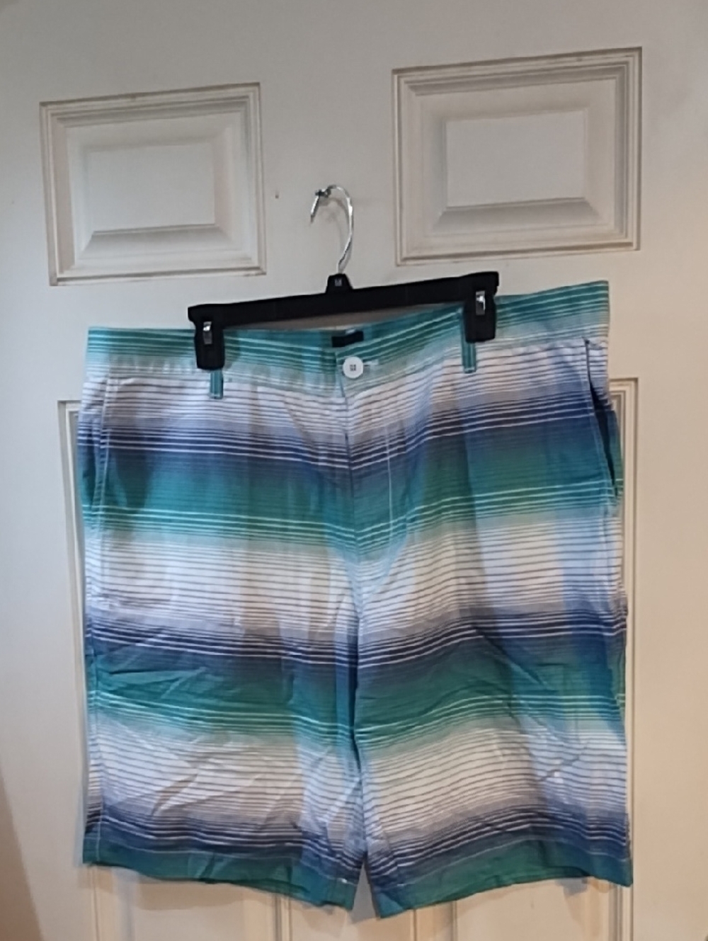 Bar III Green Teal Blue Striped Cotton Shorts